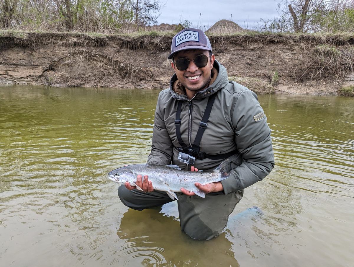 Chrome steelhead held low over the water on Duffins Creek in spring