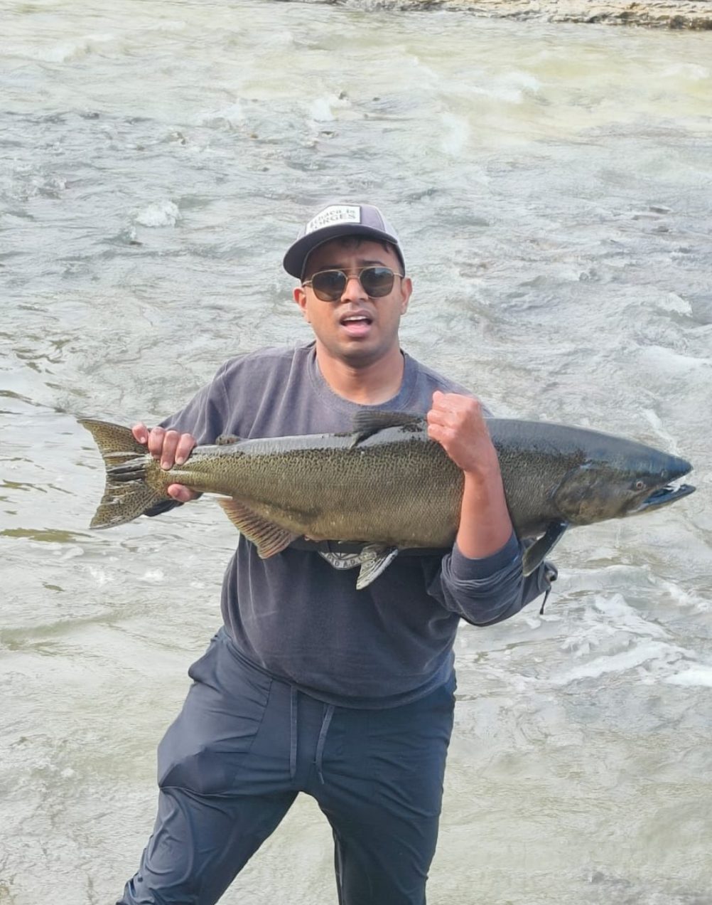 A Chinook salmon held above the water, showing the dark olive spawning colouration of a fish that has entered the river
