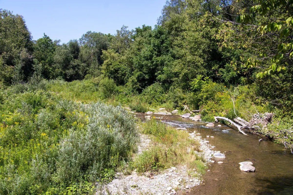 Bowmanville Creek running shallow over gravel through the wooded valley trail in Clarington, Ontario